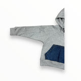 FLOWERS BY ZOE PULLOVER HOODIE - HEATHER GREY/DENIM